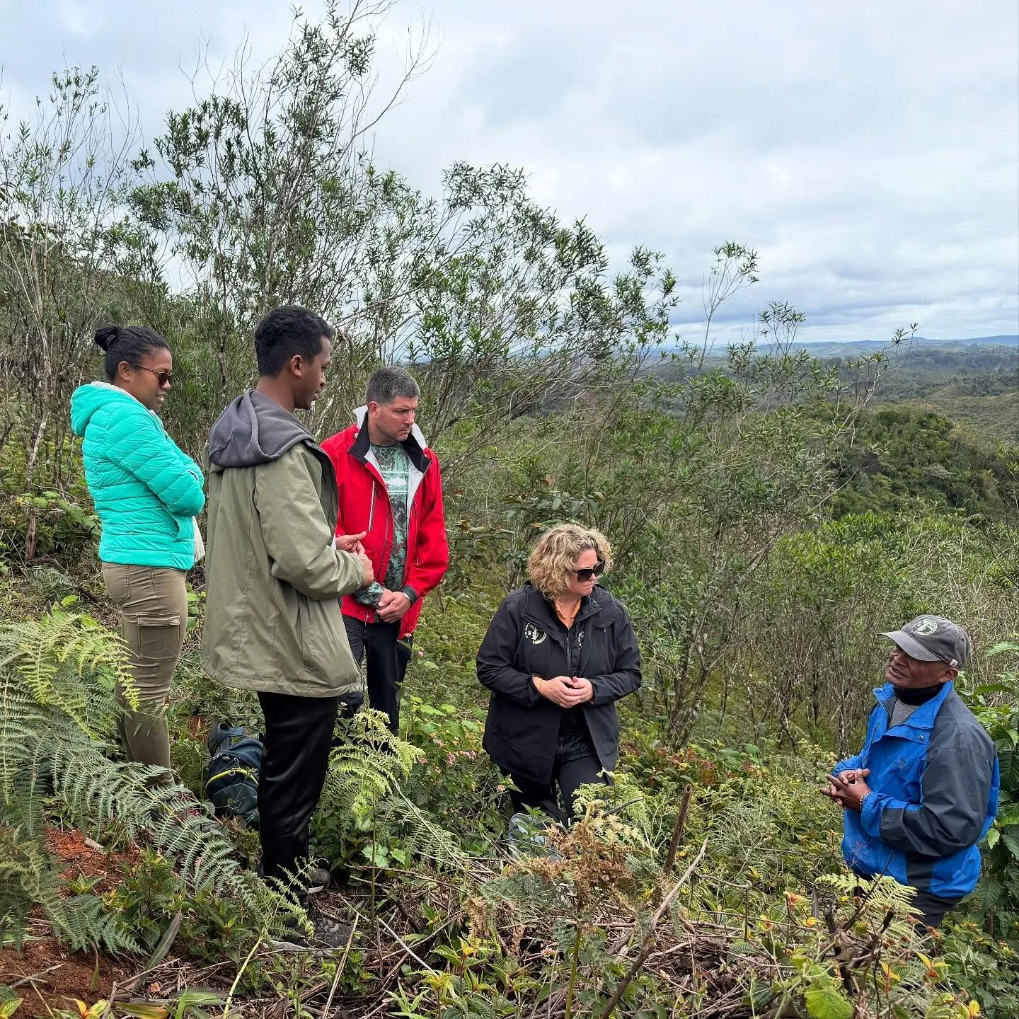 🌱 Field Update from the Reforestation Corridor 🌿
Shared by TDARFAC &amp; @maddoginitiative 

We&rsquo;ve made strides in our joint reforestation efforts, here&rsquo;s the latest from the field:

🔸 Planning &amp; Coordination
Productive meetings wi