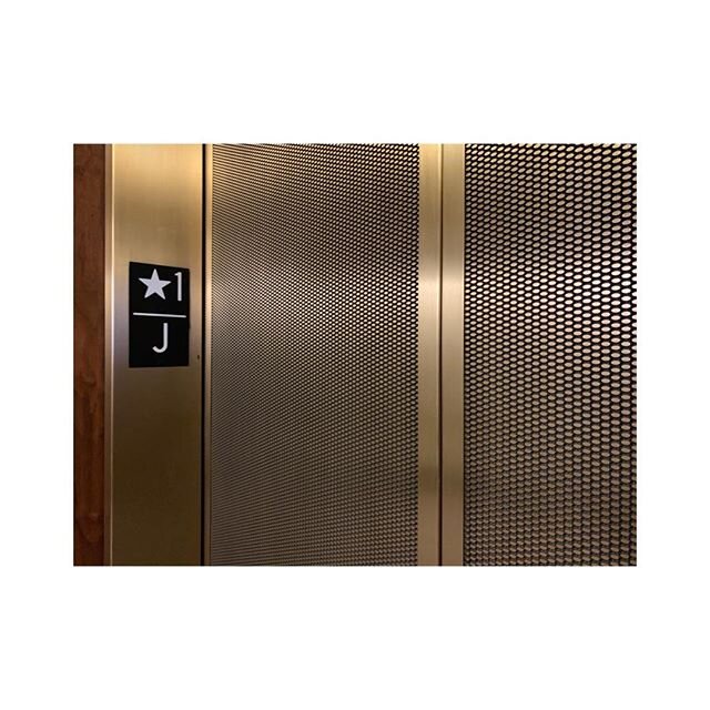 Cambridge Mesh Elevator Doors 👌🏻