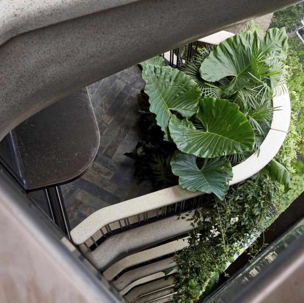 Heatherwick Studio Skyscraper Luxury Elevator Singapore EDEN Balcony.jpg