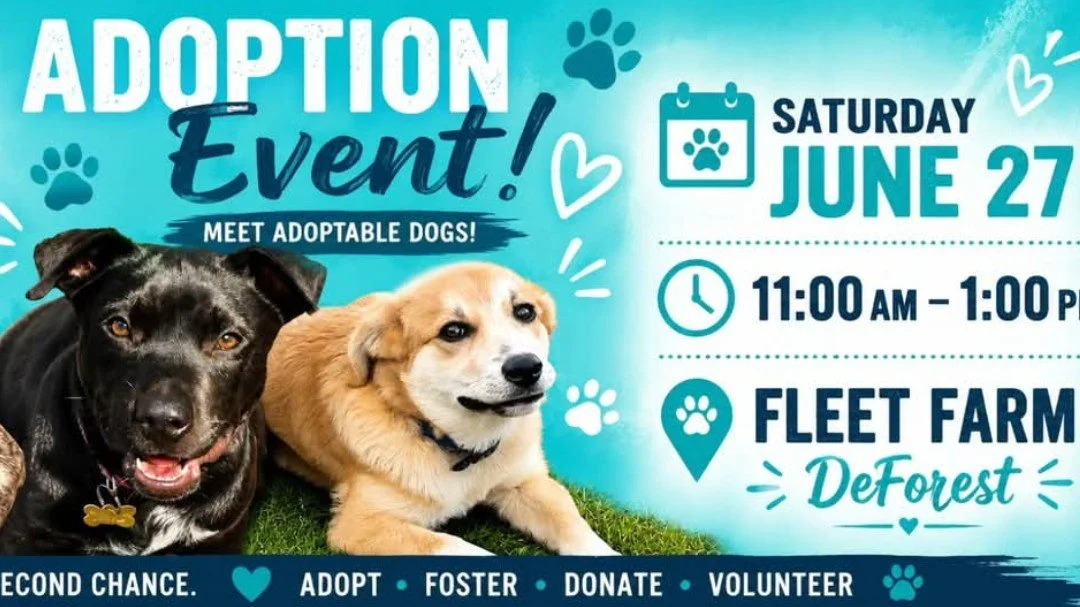 Meet &amp; Greet @ Fleet