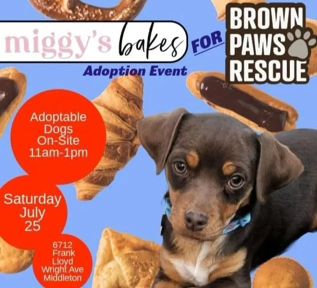 Meet &amp; Greet @ Miggy's Bakes