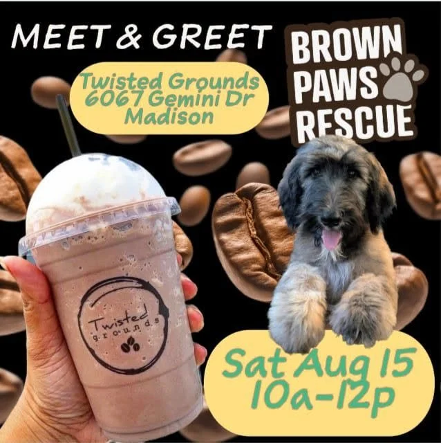 Meet & Greet @ Twisted Grounds