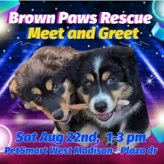 Meet & Greet @ PetSmart West