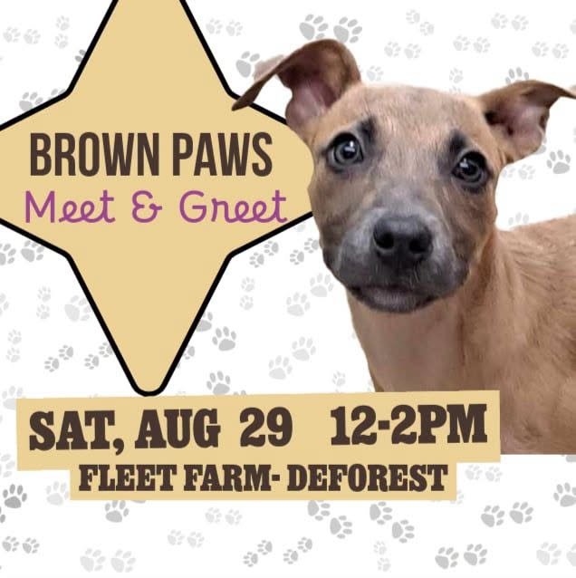 Meet & Greet @ Fleet Farm DeForest