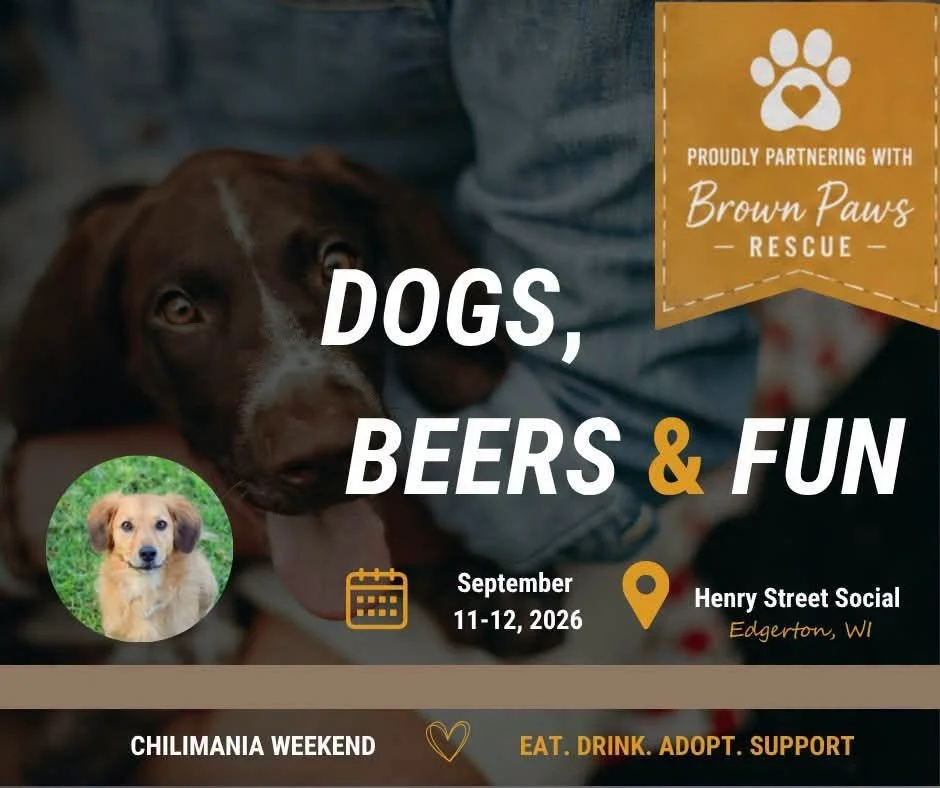Brown Paws Rescue @ Chilimania