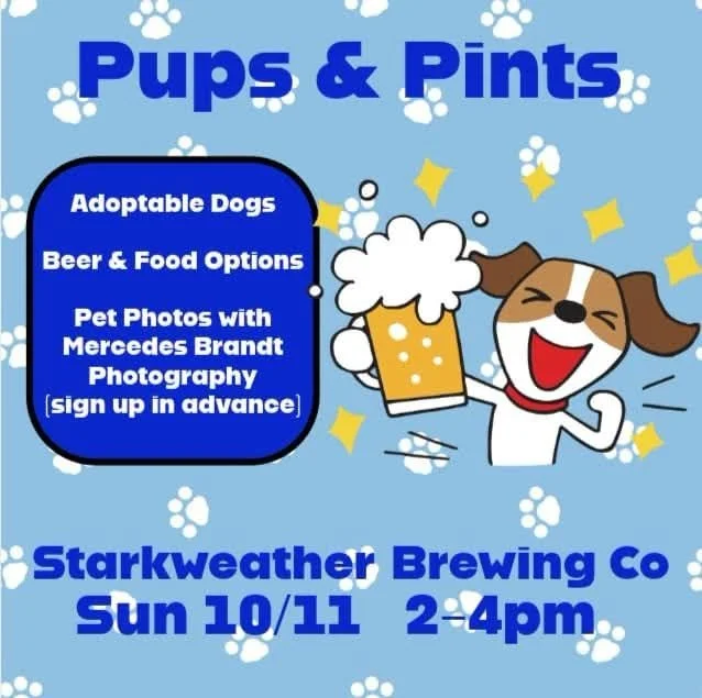 Pups &amp; Pints @ Starkweather Brewing