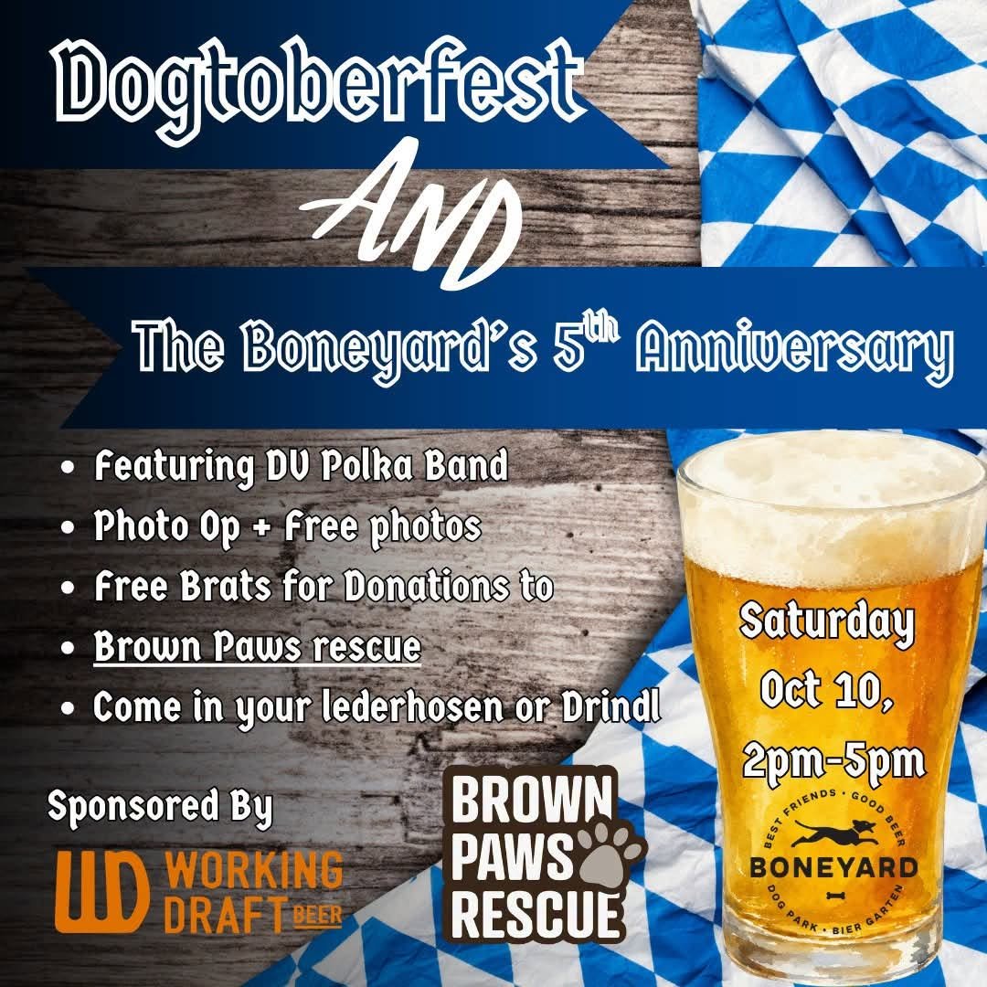 Brown Paws Rescue @ Dogtoberfest
