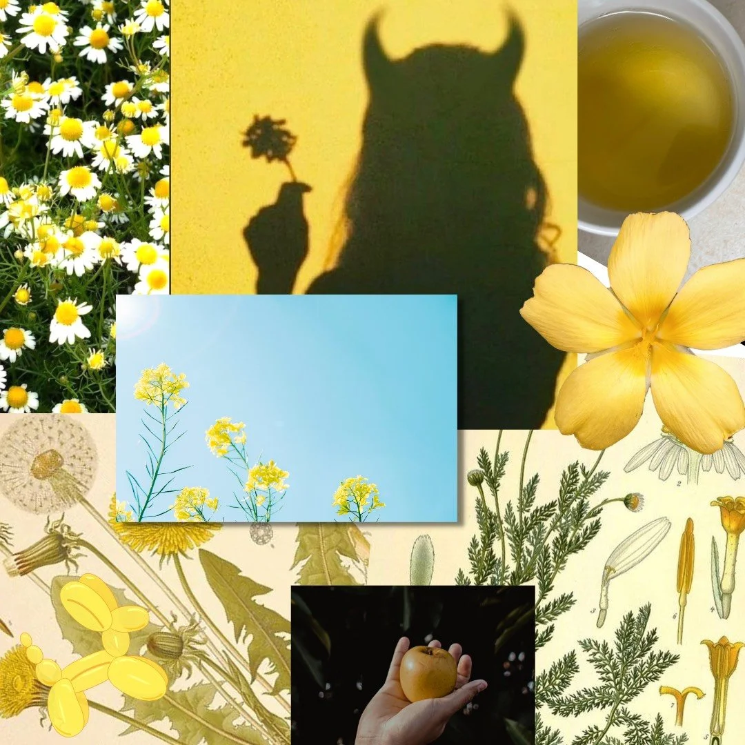 Solar Plexus Chakra Healing Herbs 