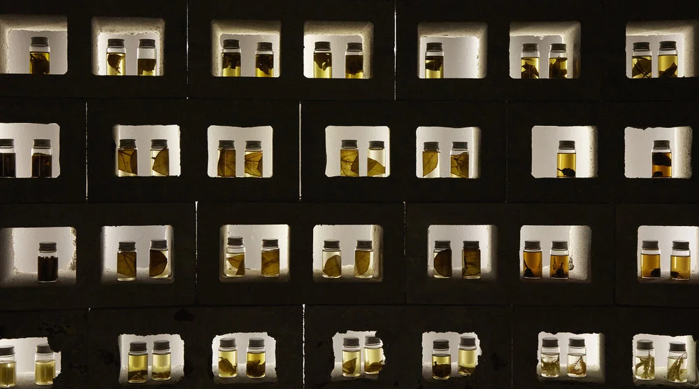 Treasure-Island-by-Mamakan-National-Museum-of-Singapore-Art-Installation-View-12.jpg
