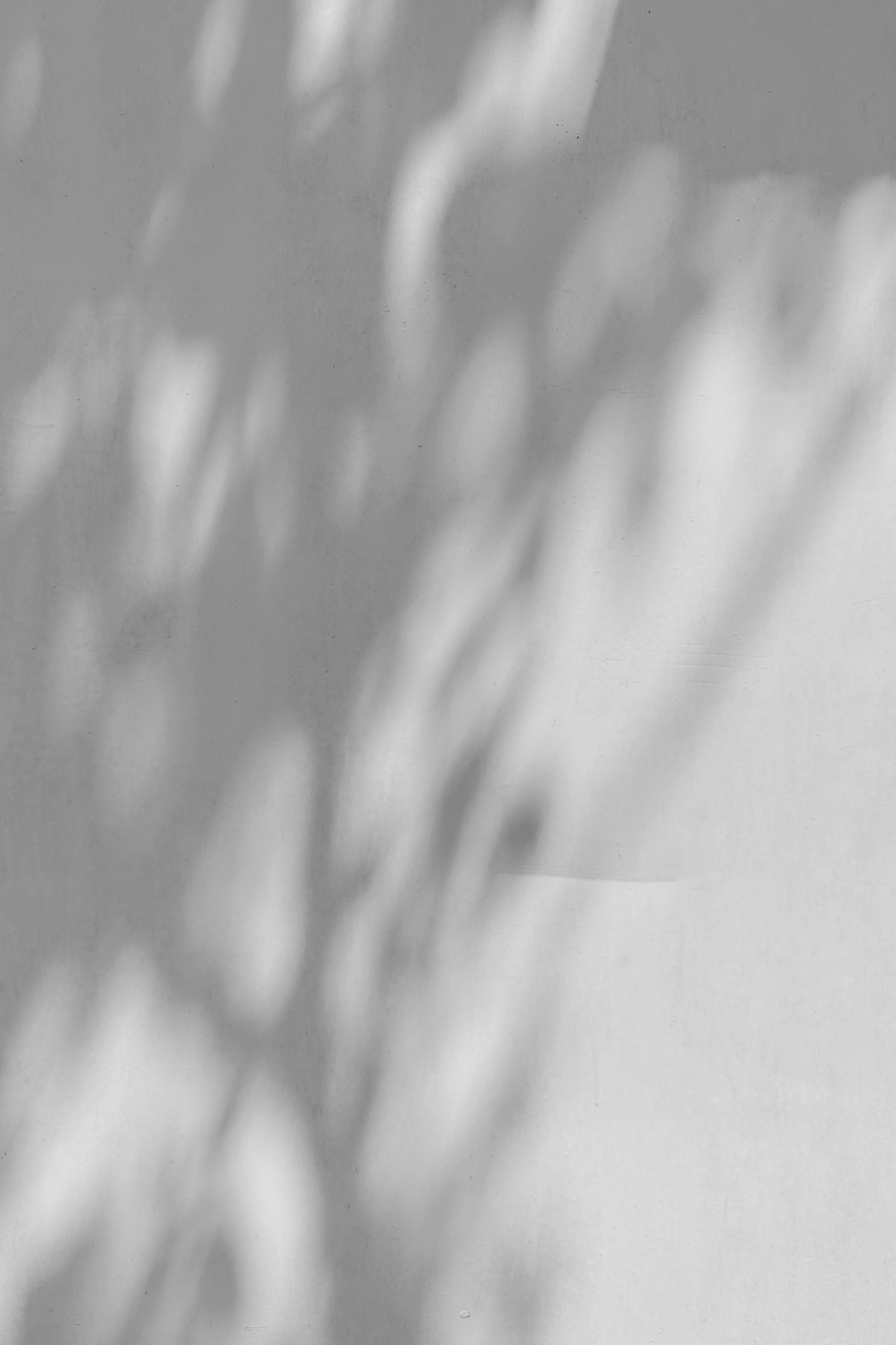 h-co-zA025jNugMY-unsplash.jpg