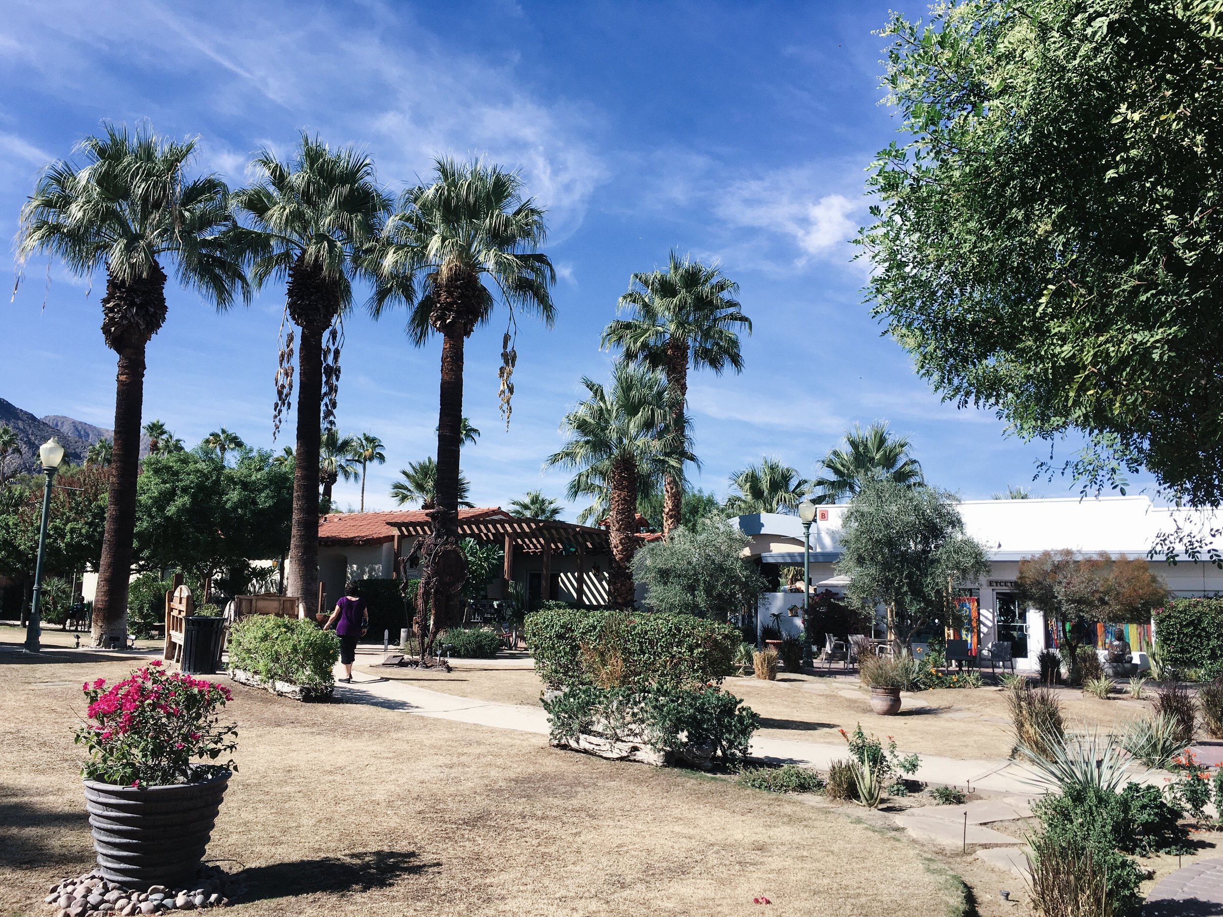This is a cute little plaza behind the coffee shop where you can sit and just enjoy the mountain view. 