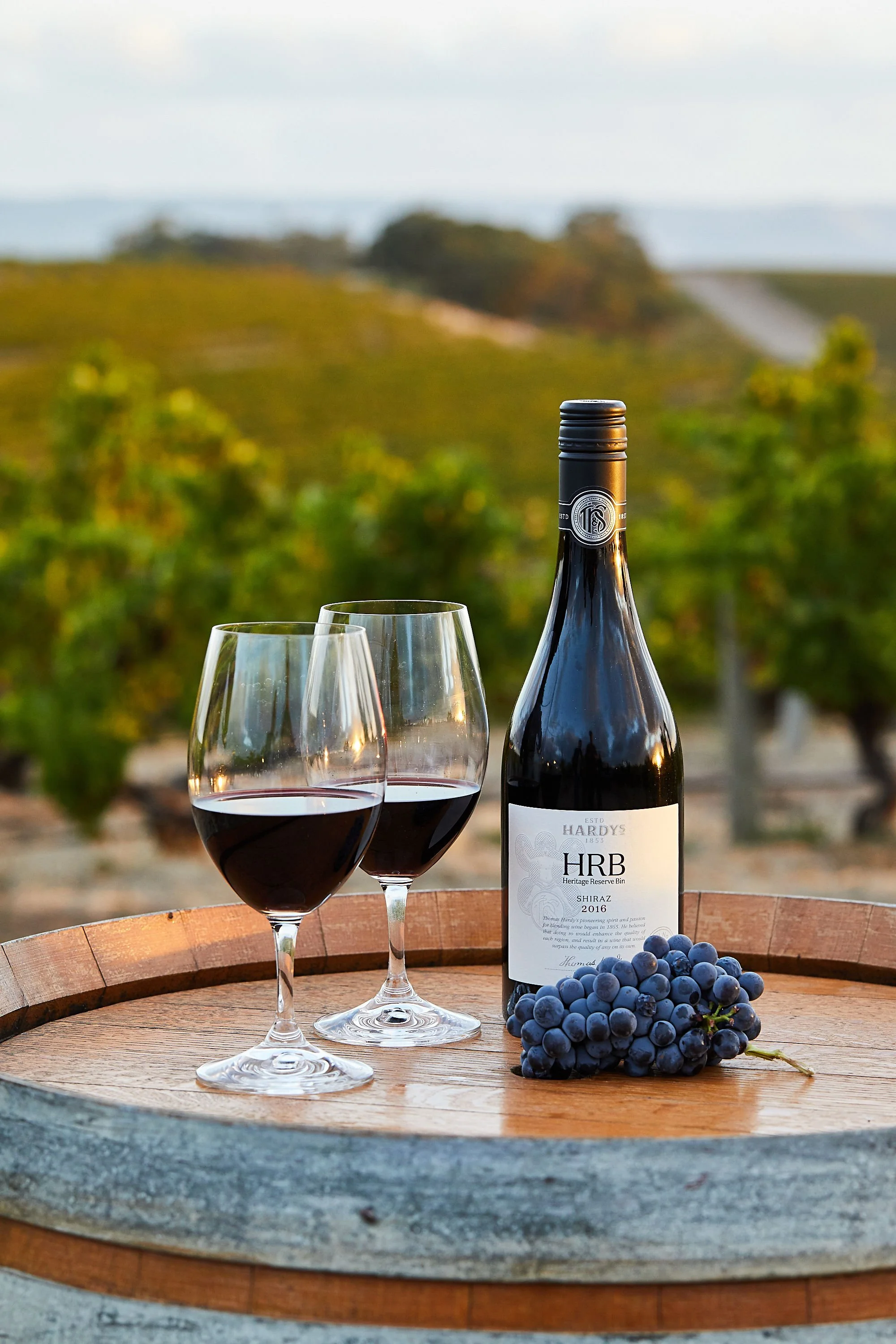 Hardys Wine Dinner — Ripples Chowder Bay