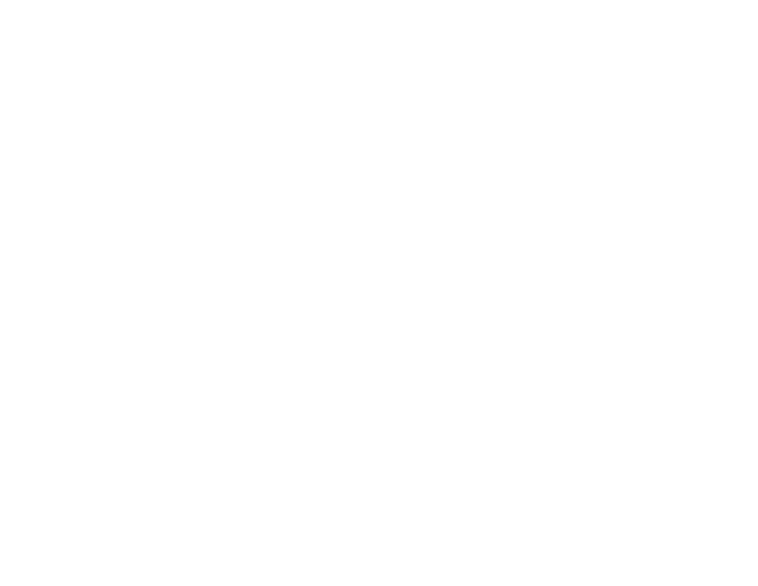 FIN_Logo_White copy.png