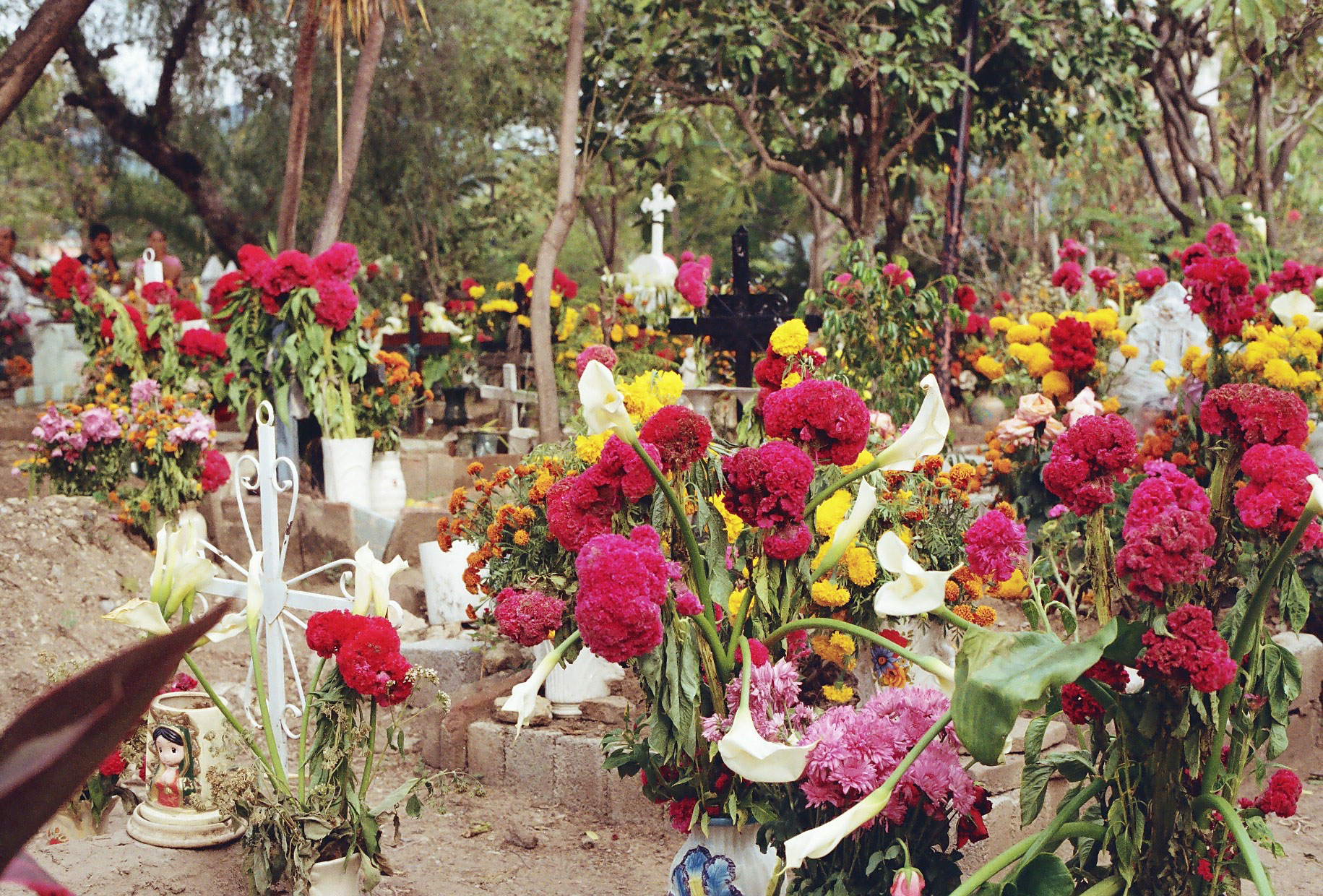 R002-029.jpg