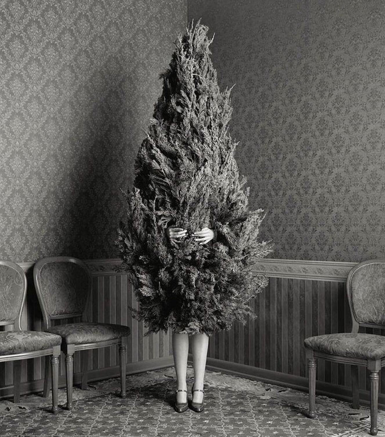 Out of office mood. Wishing you a very Merry Christmas 🤍 photo by Geof Kern, entitled Woman as a Tree🌲