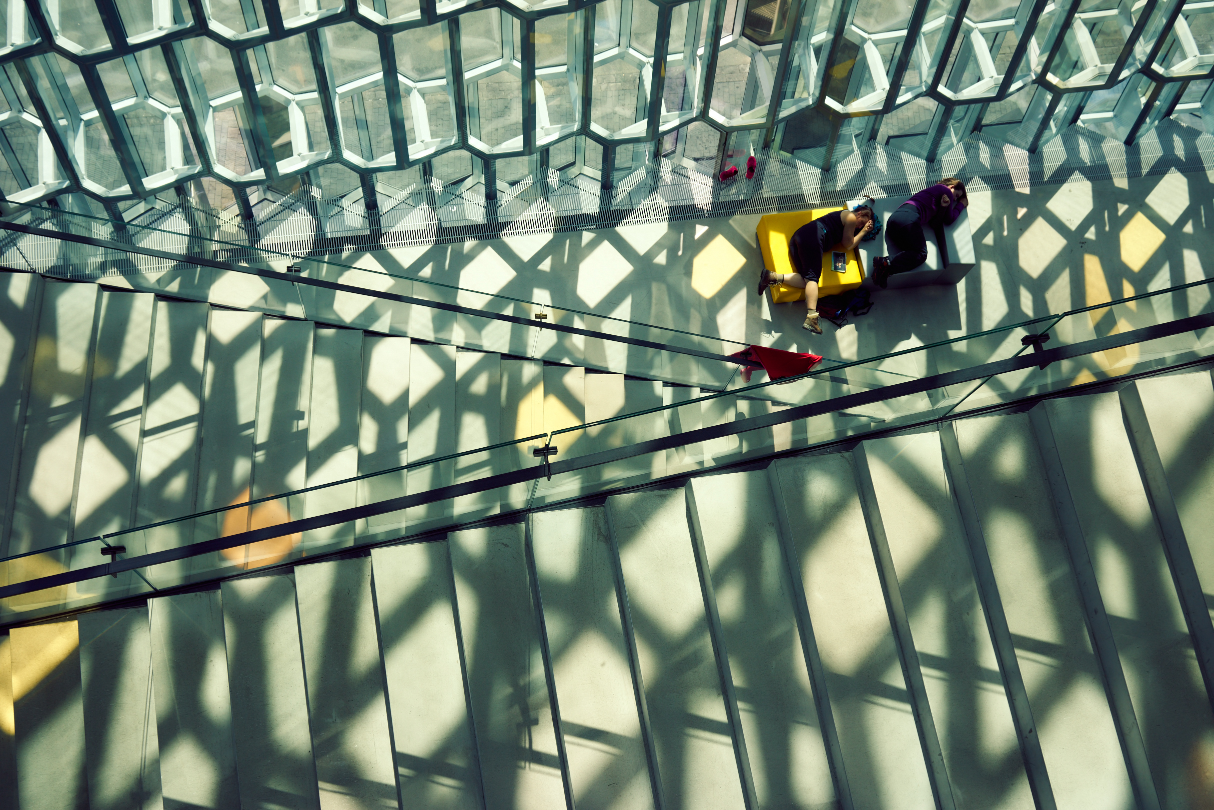 Sleeping Harpa