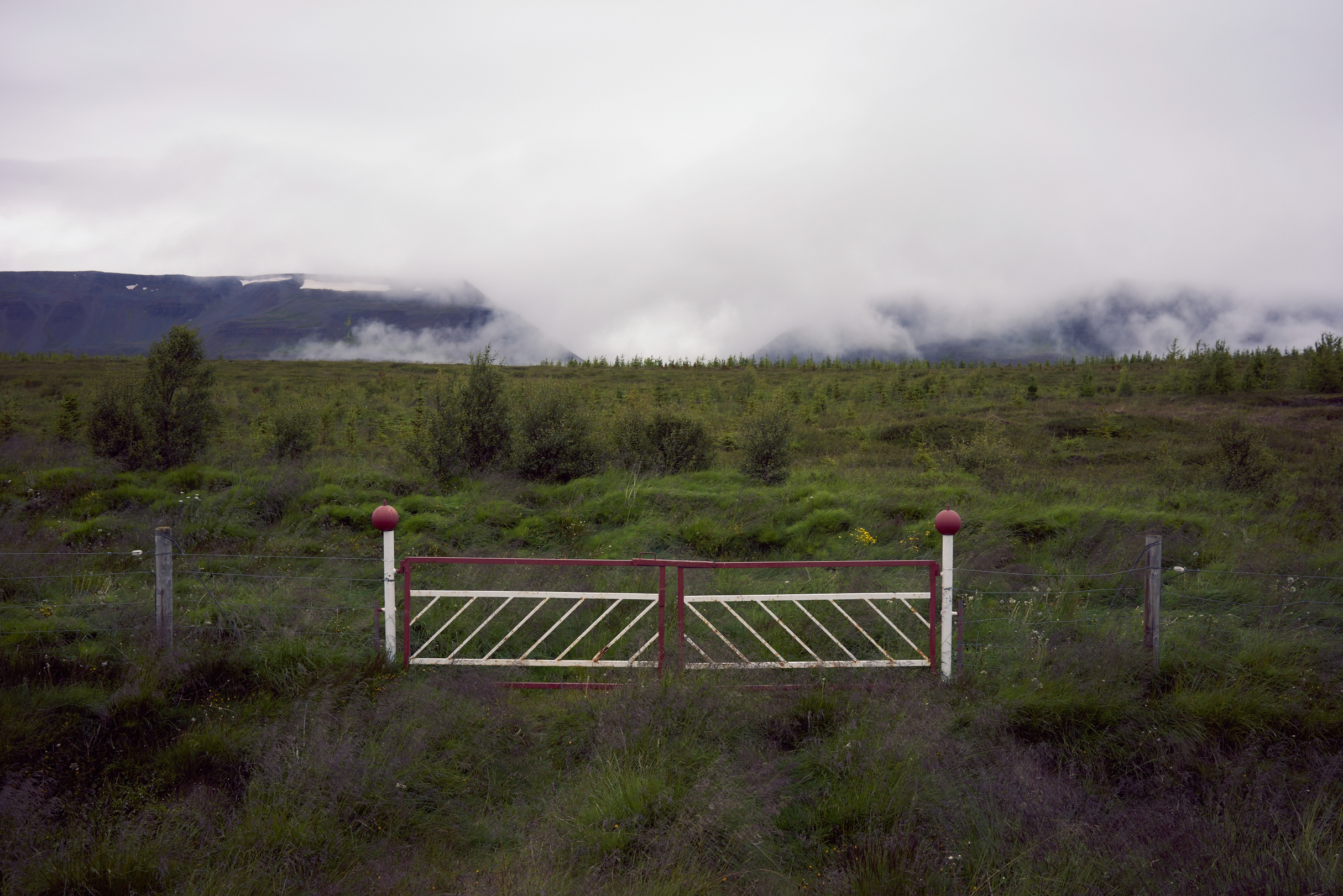 gates aligned 