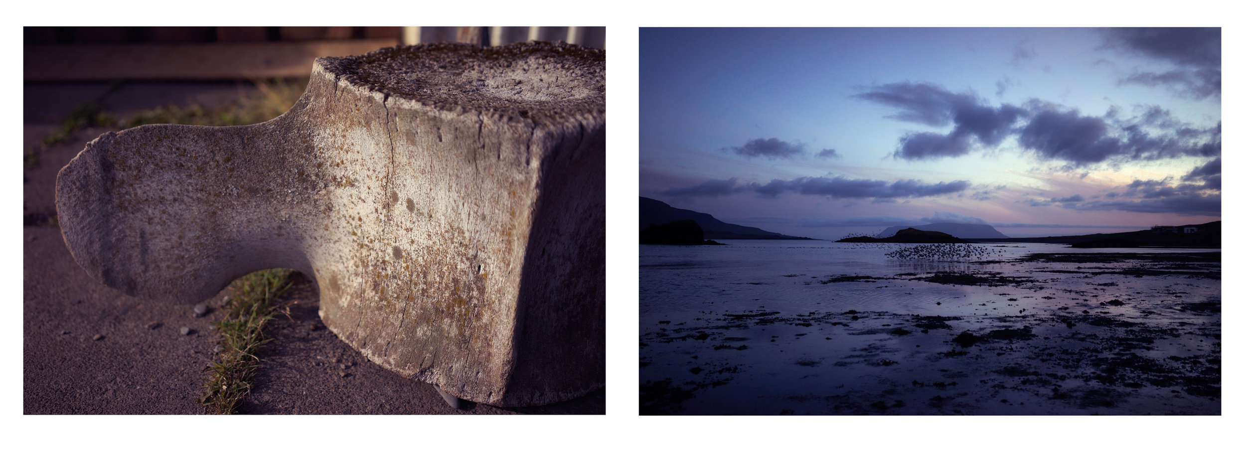  whale bone, whale fjord ( Hvalfjörður  )  