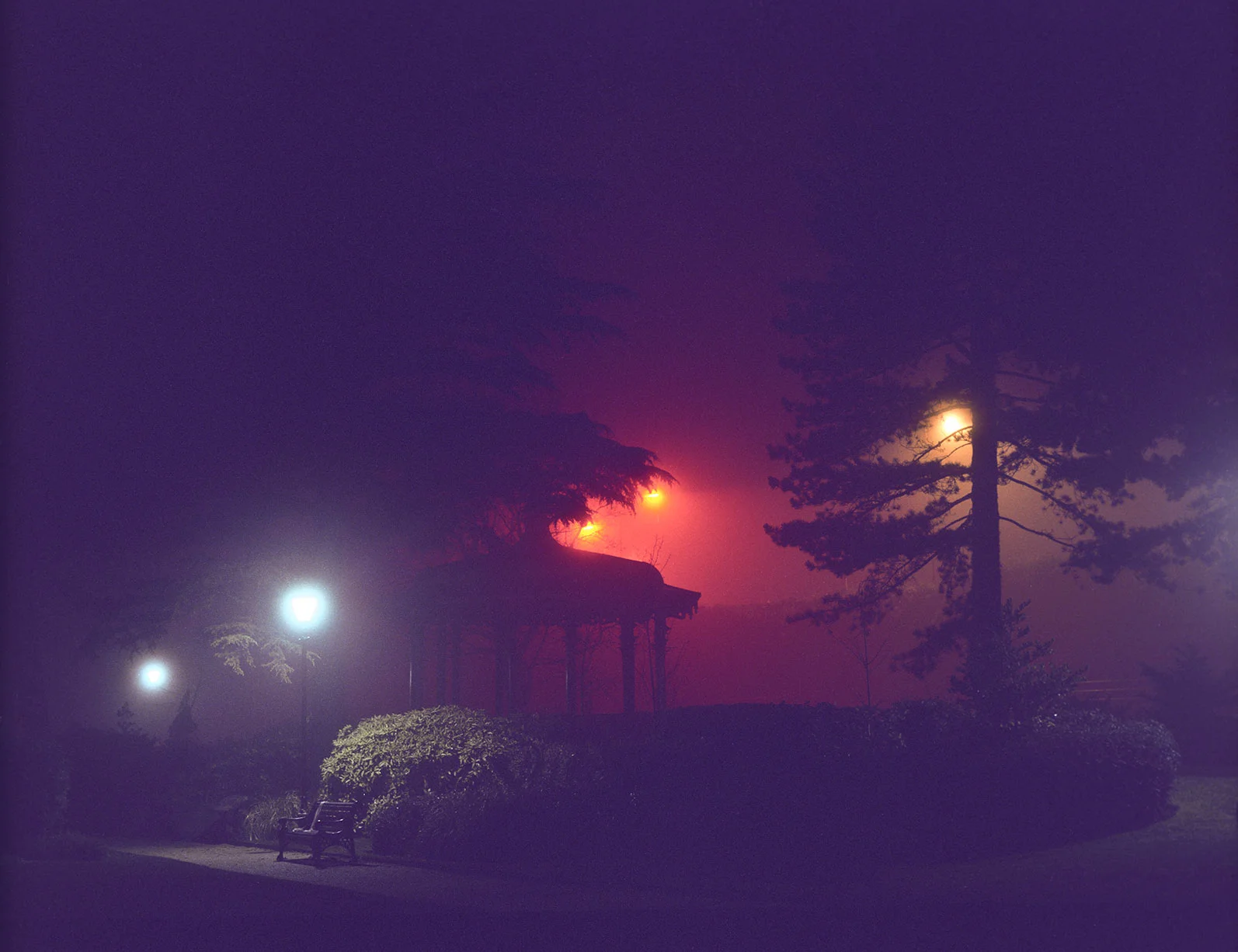 a misty night - d.