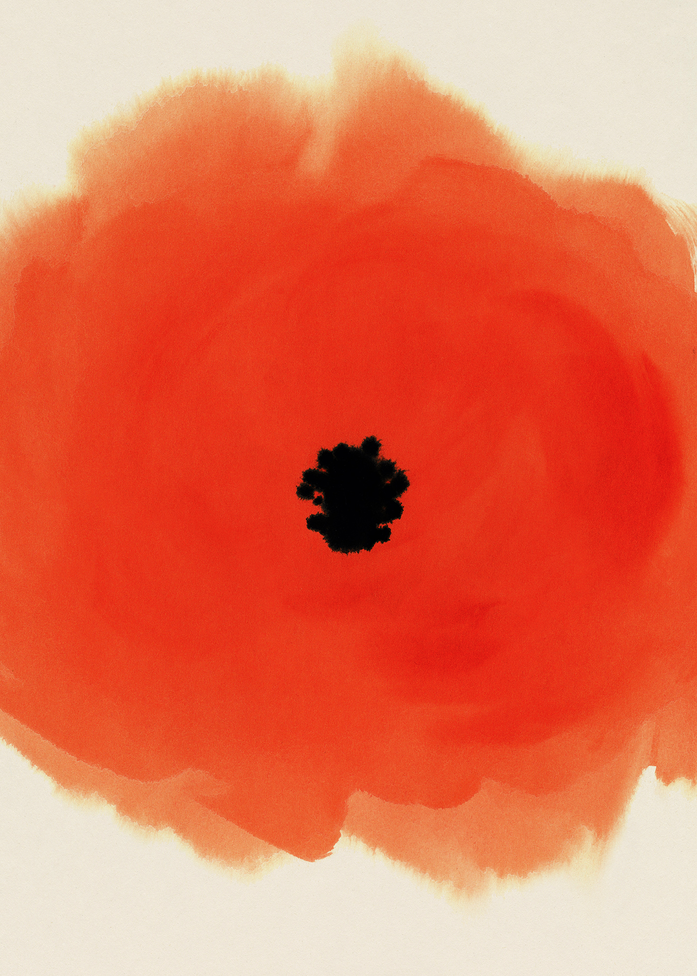 Poppy
