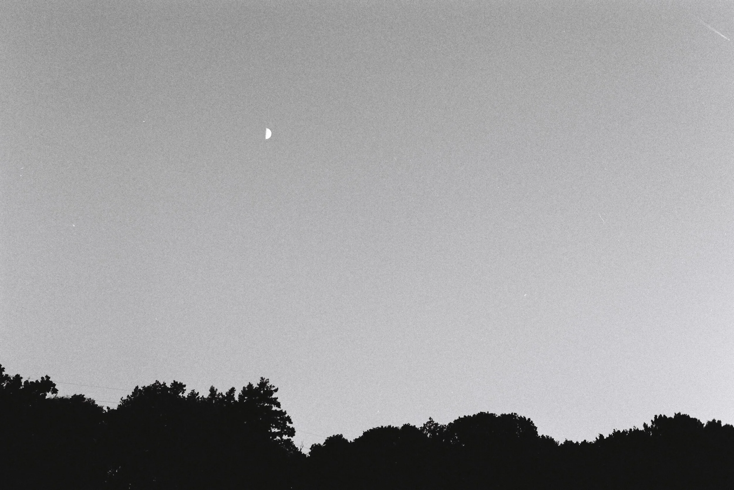 F1000008.JPG