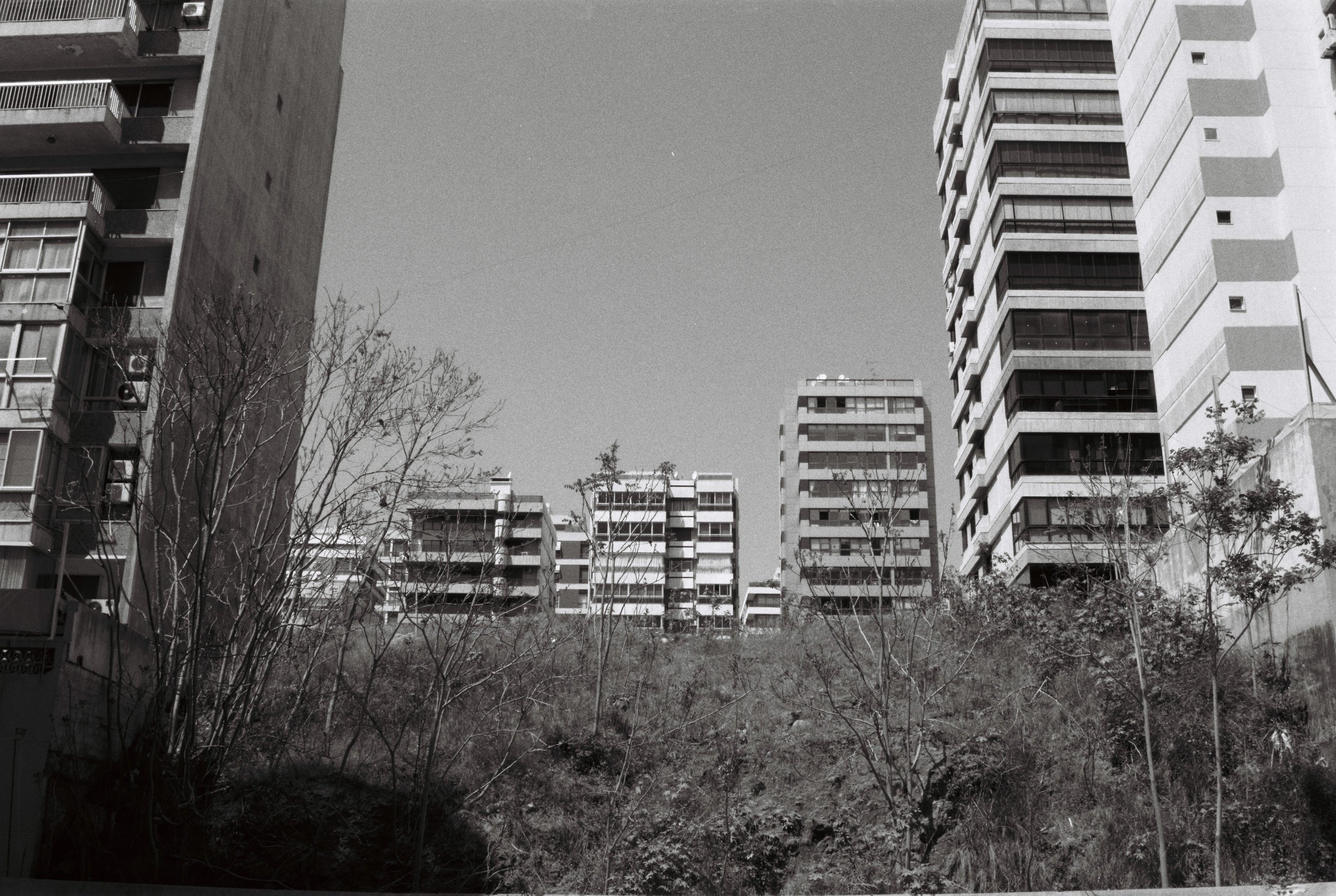 000021.JPG