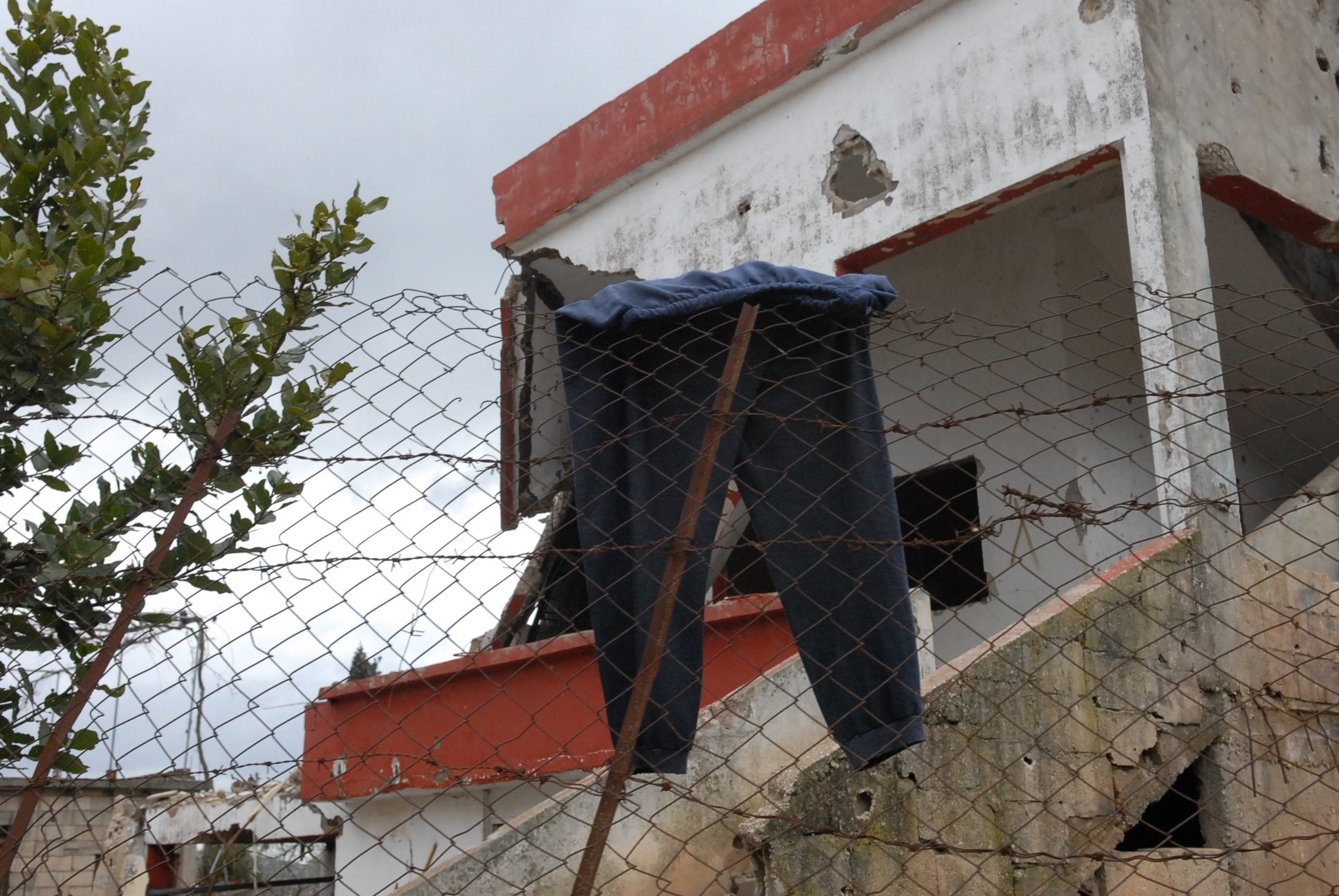 brut00182.JPG