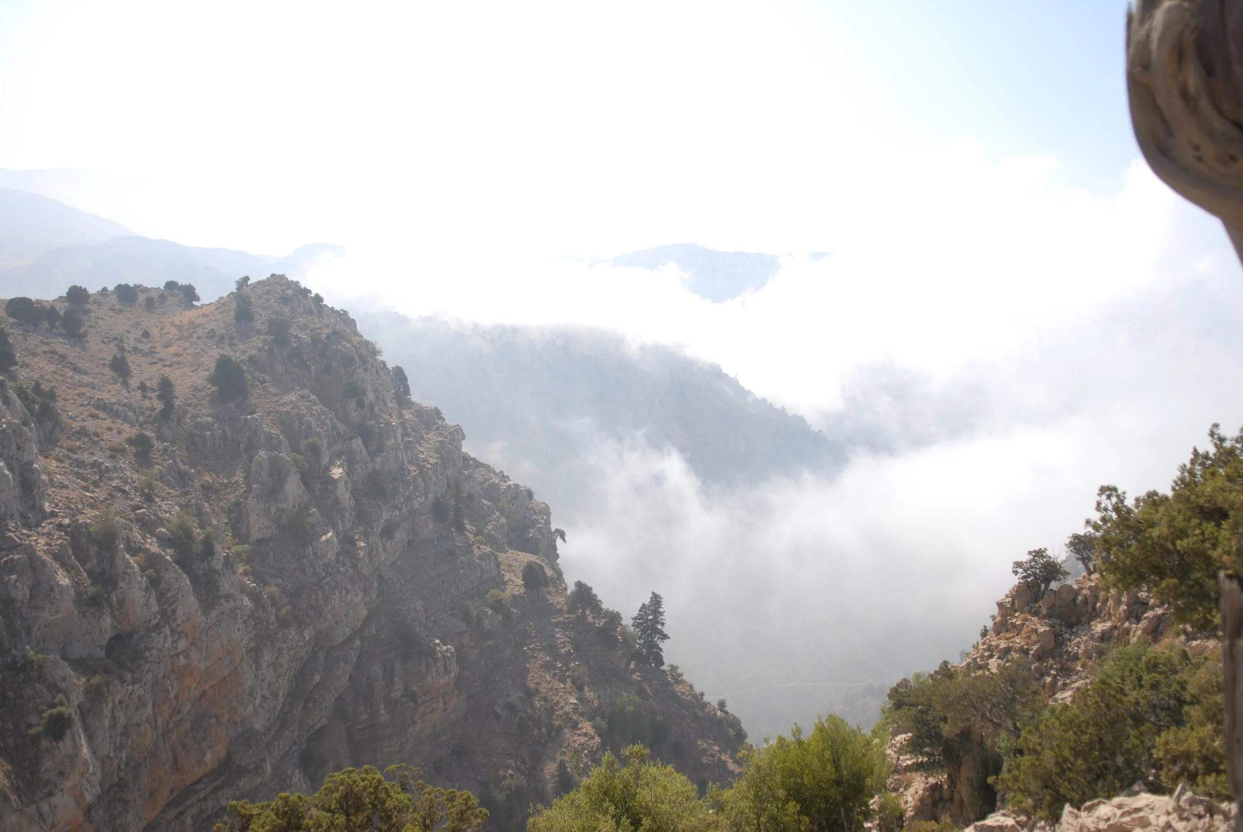 DSC_3537.JPG
