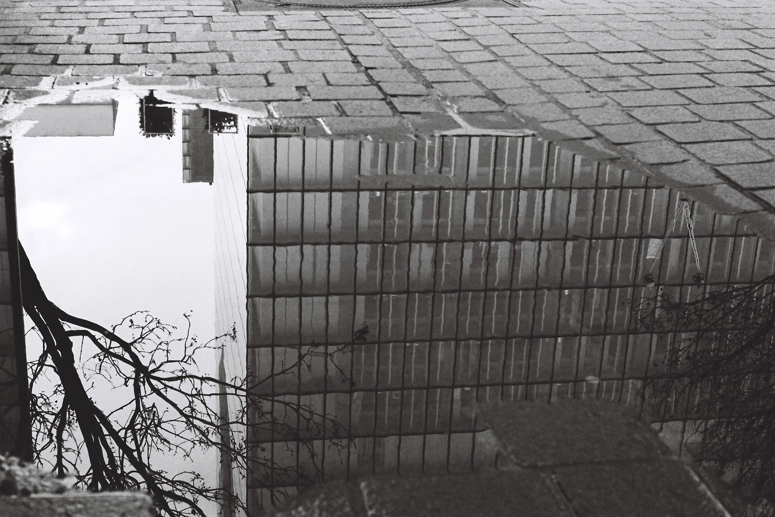 Every Day is Another Day