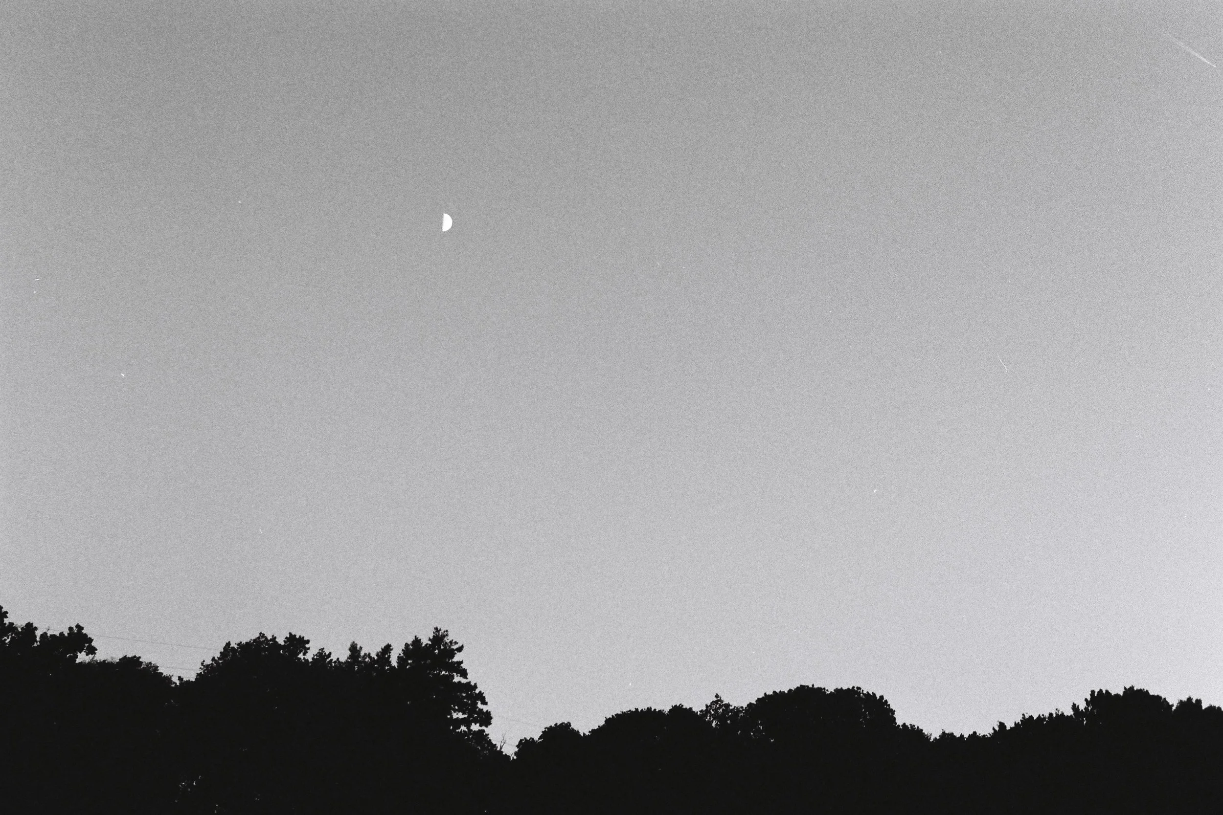 F1000008.JPG