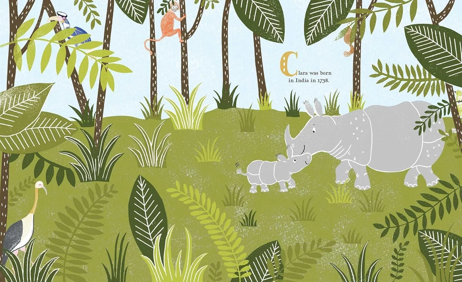 Clara-jungle.jpg