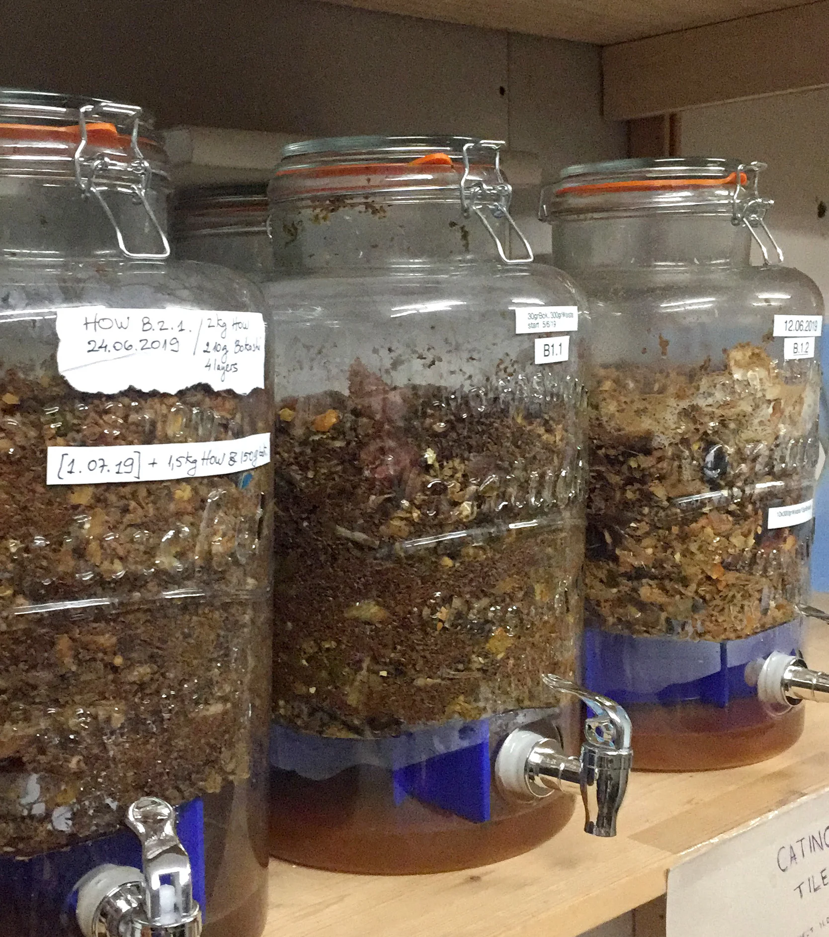 If you ever fermented HOW with bokashi starter you already know it. The garbage juice that gets released through this anaerobic fermentation is also a great natural fertiliser and non-chemical sewage declogger. But most importantly, fermented HOW and its garbage juice smell like pickles. That's right, like augurkens.