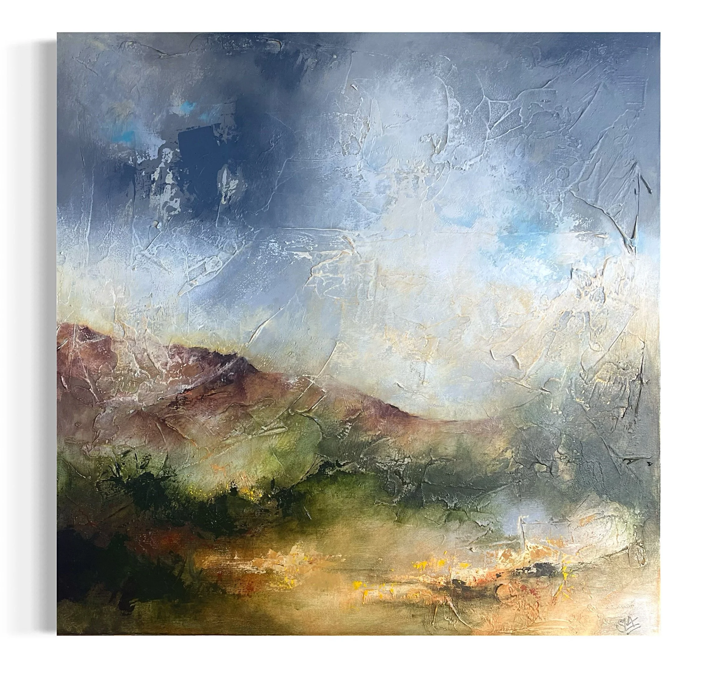 ´Autumn View: Los Reales´   €800