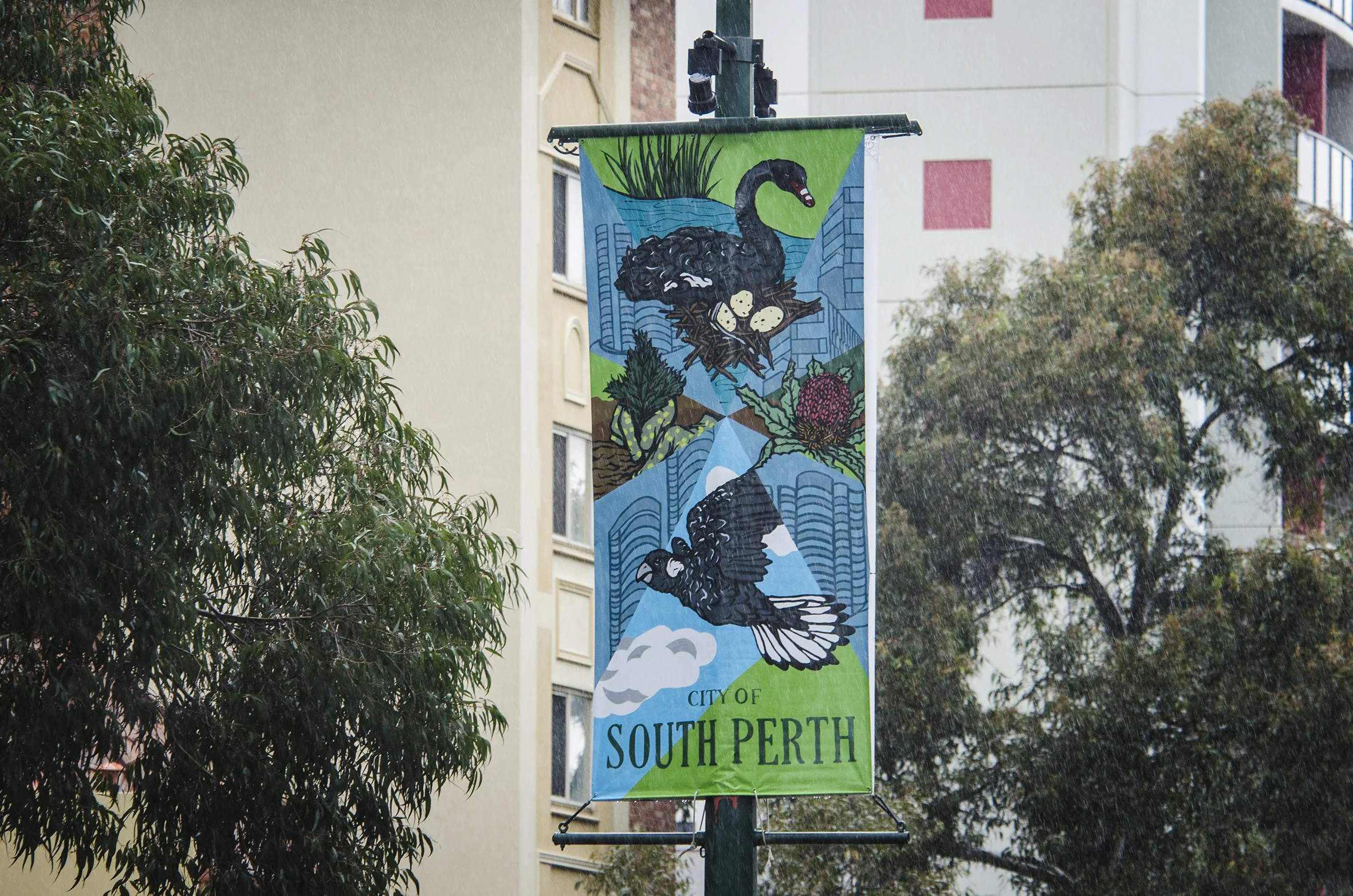 DCE_5656.jpg
