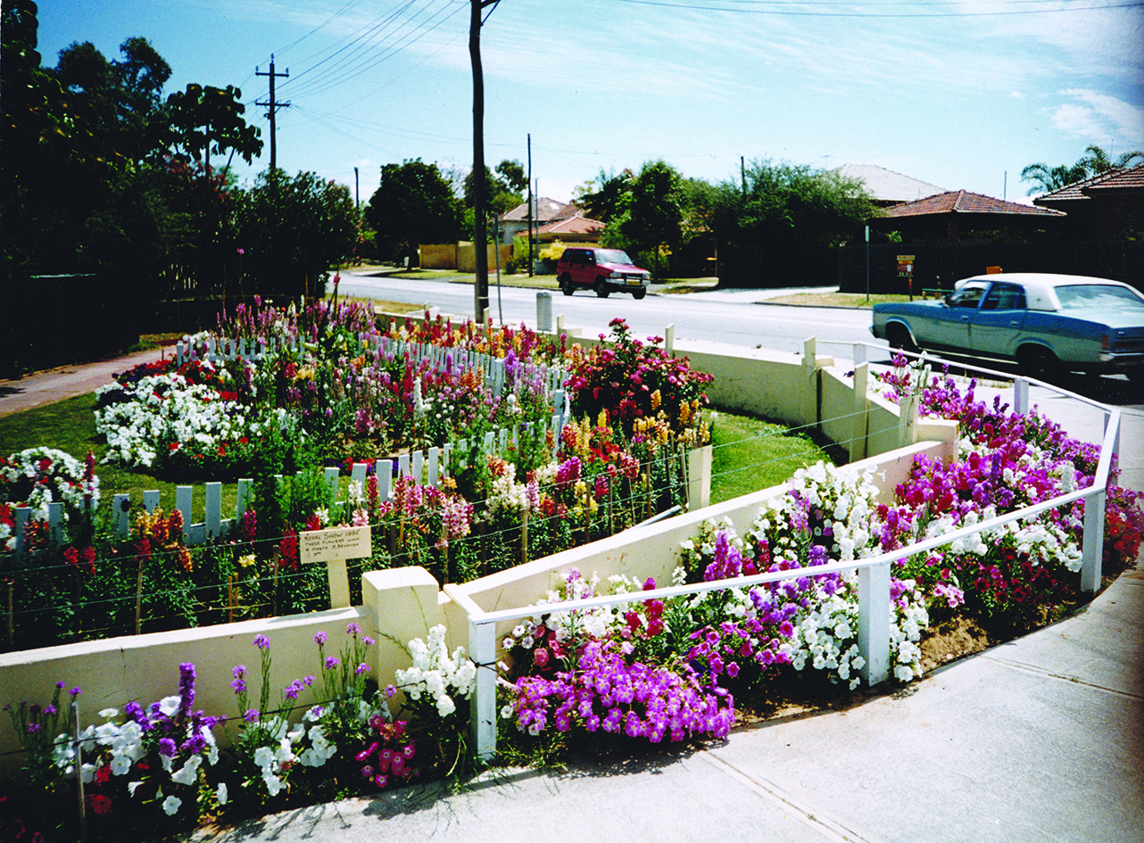 Mikaela_Miller_About_History_flower_jungle_Bicton.jpg