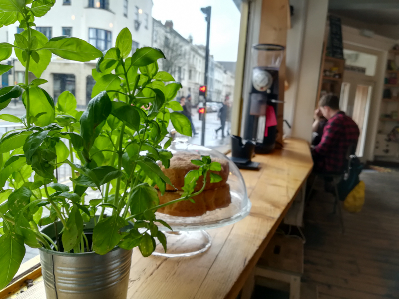 Window seat with plant in Little Man Coffee, Cardiff