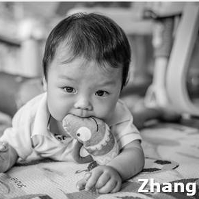 ZHANG H