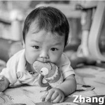 ZHANG H