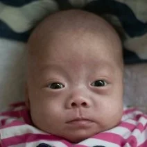 LIANG XQ