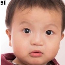 LIANG F