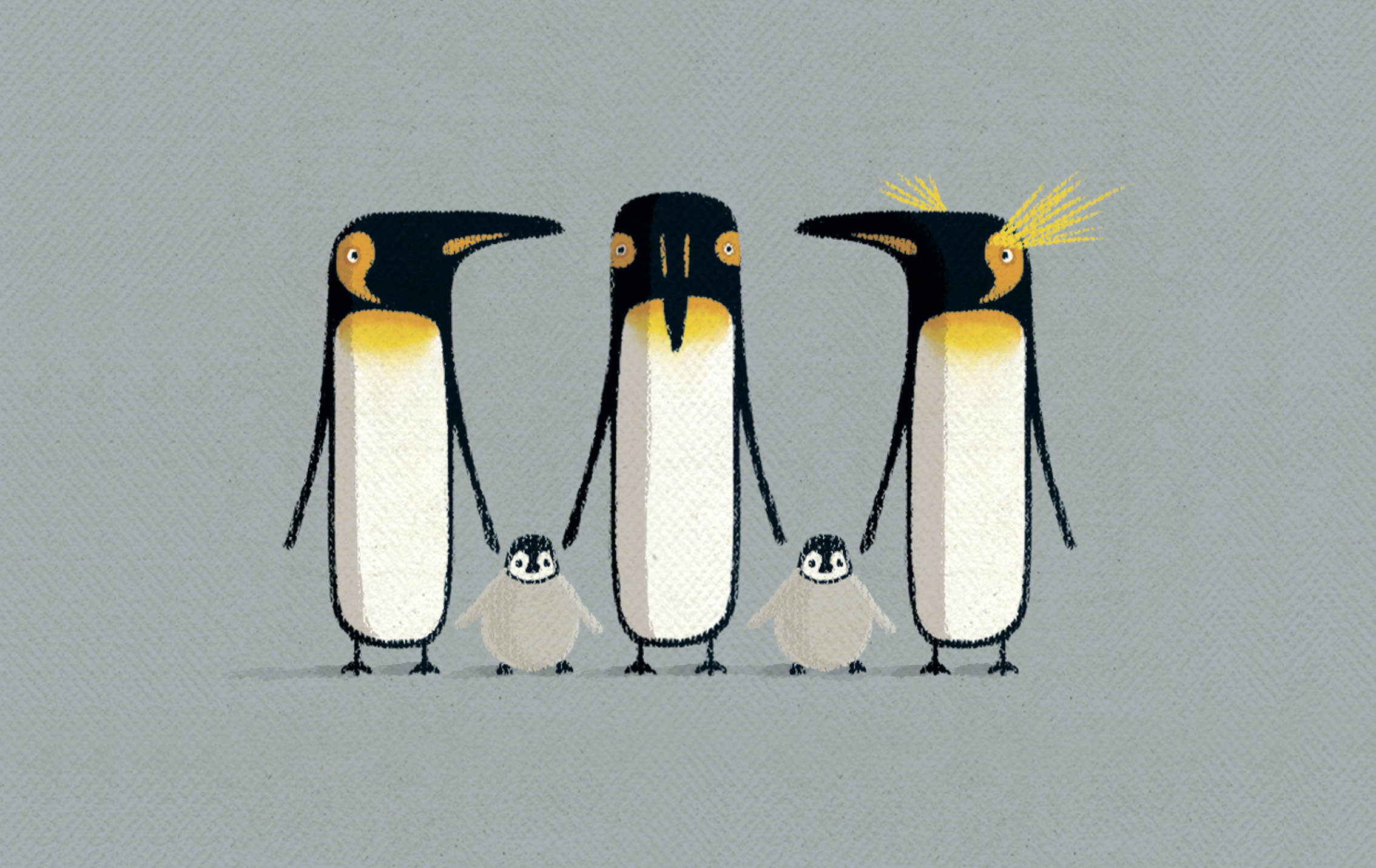 animal penguins.jpg