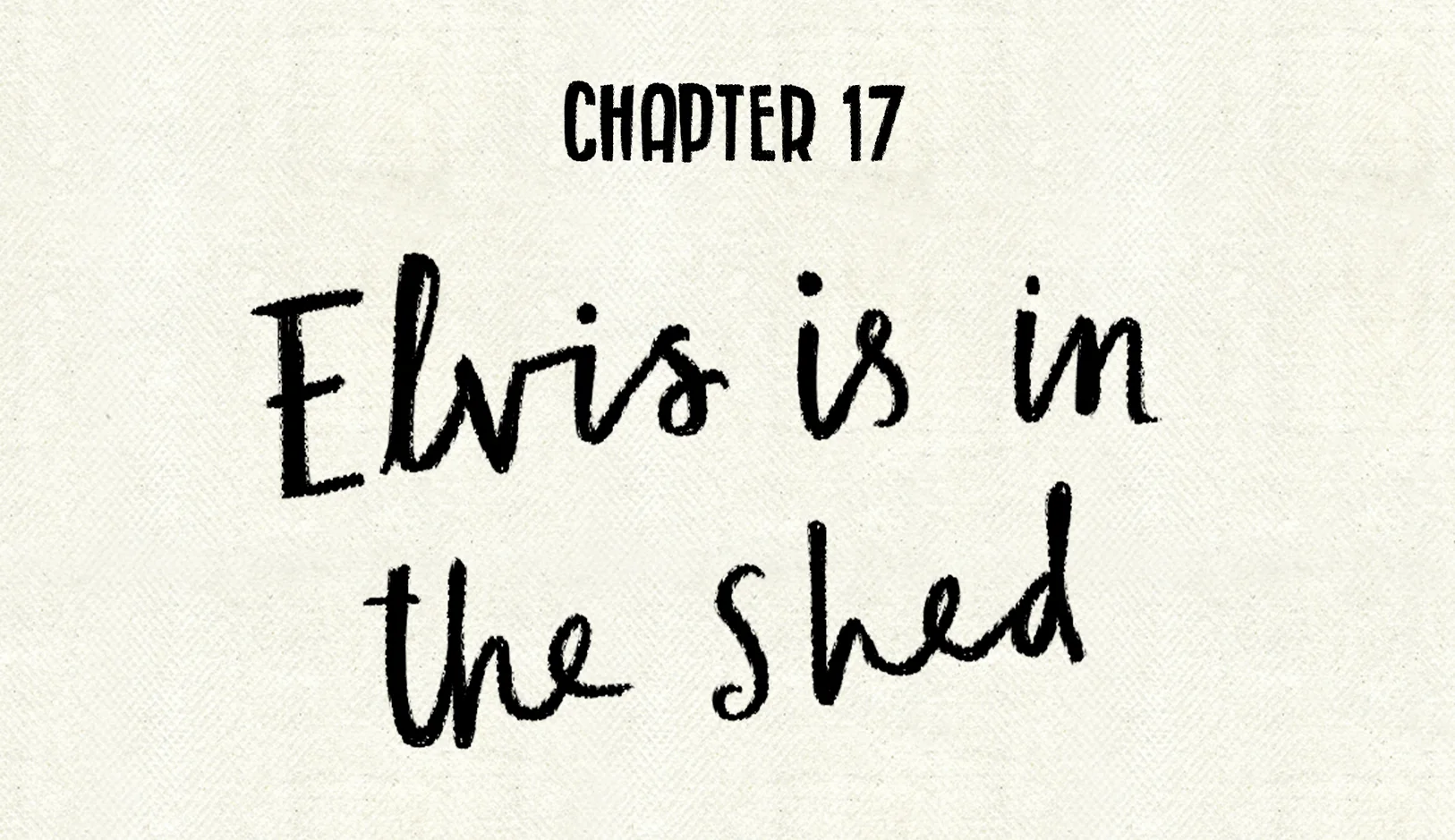Hardback