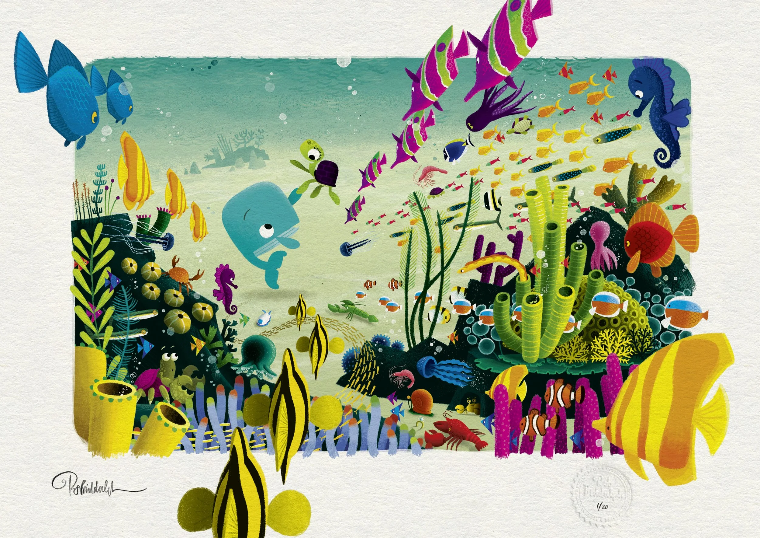 they come from the coral.jpg