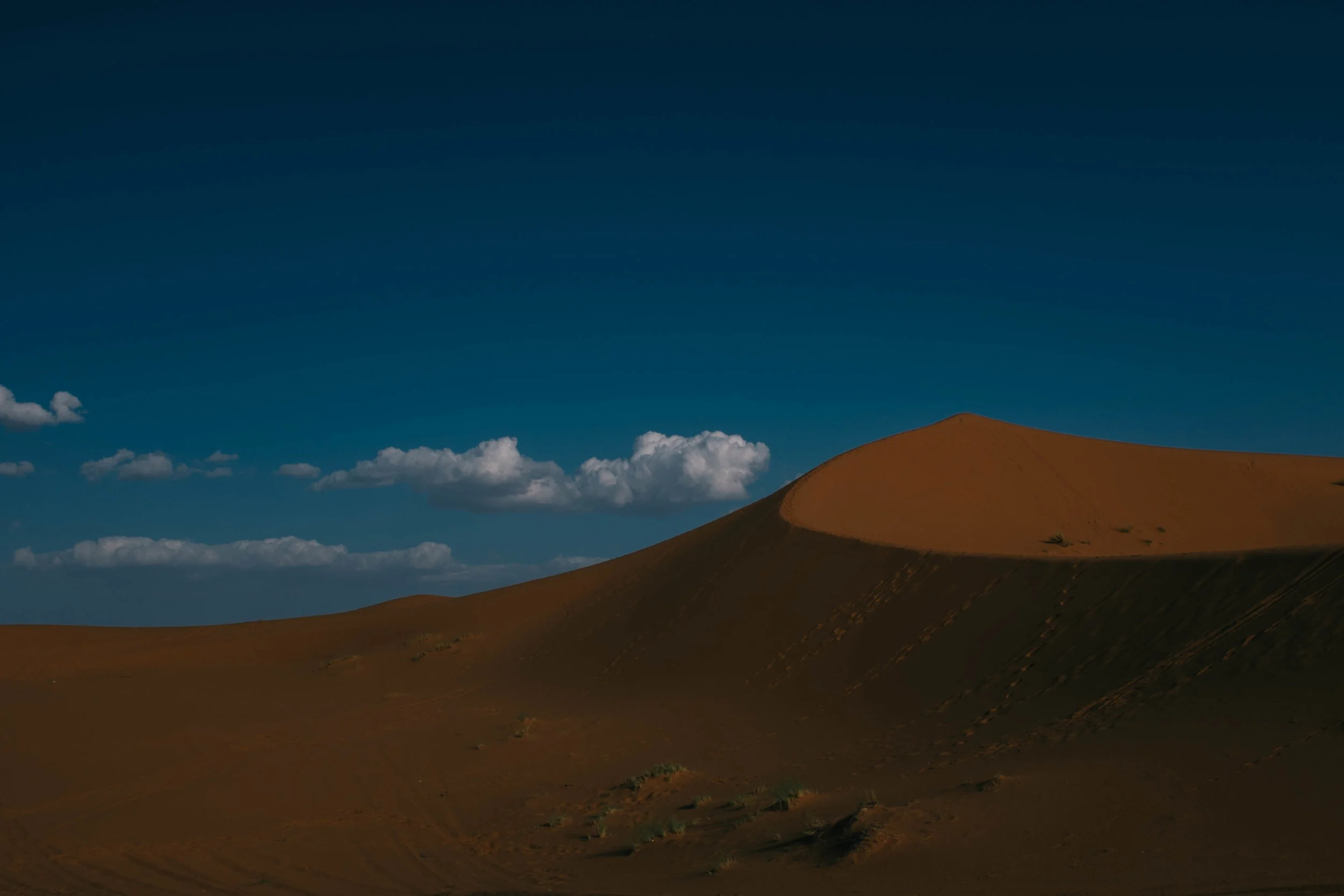 DSCF3313b.jpg