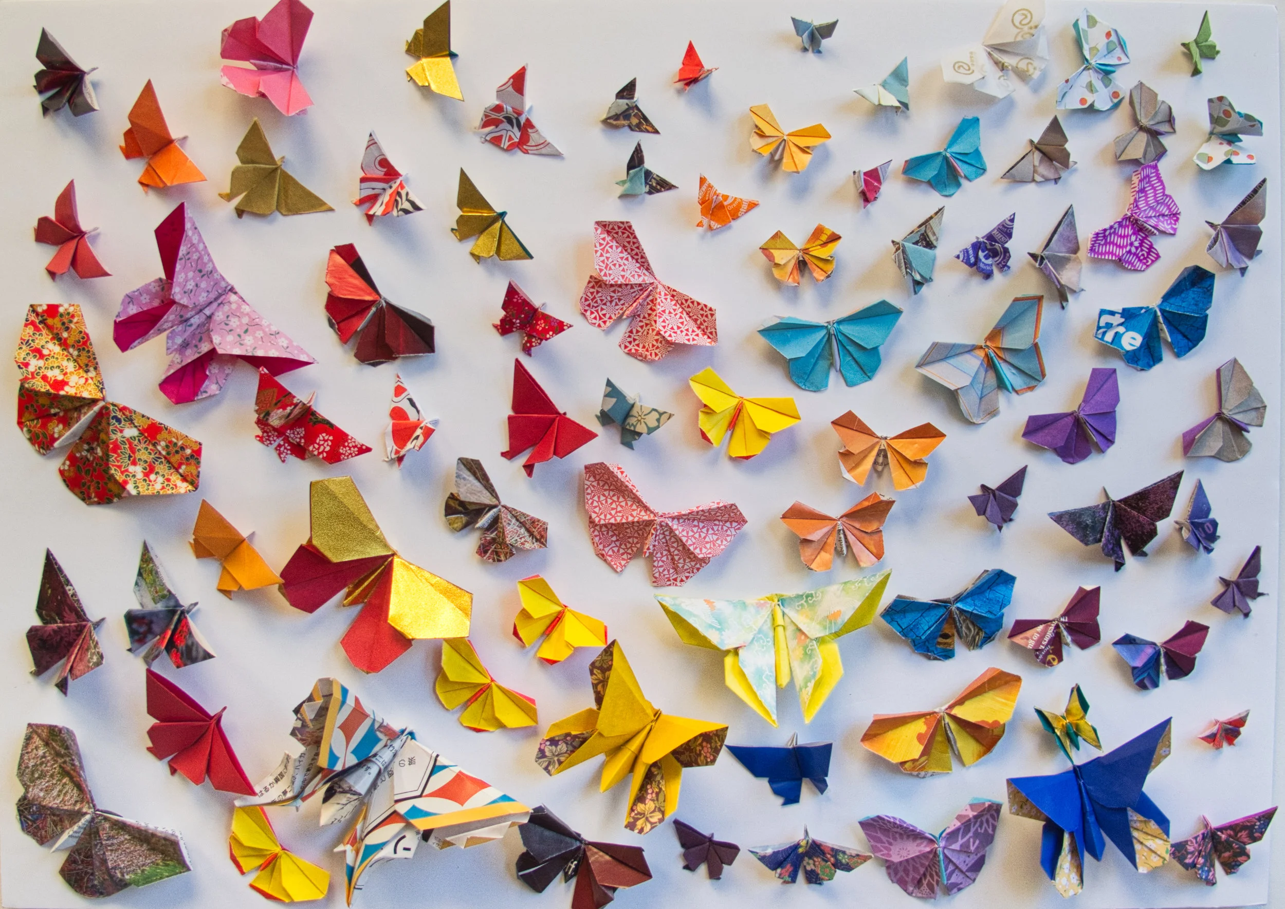 The Golden Hour.jpeg