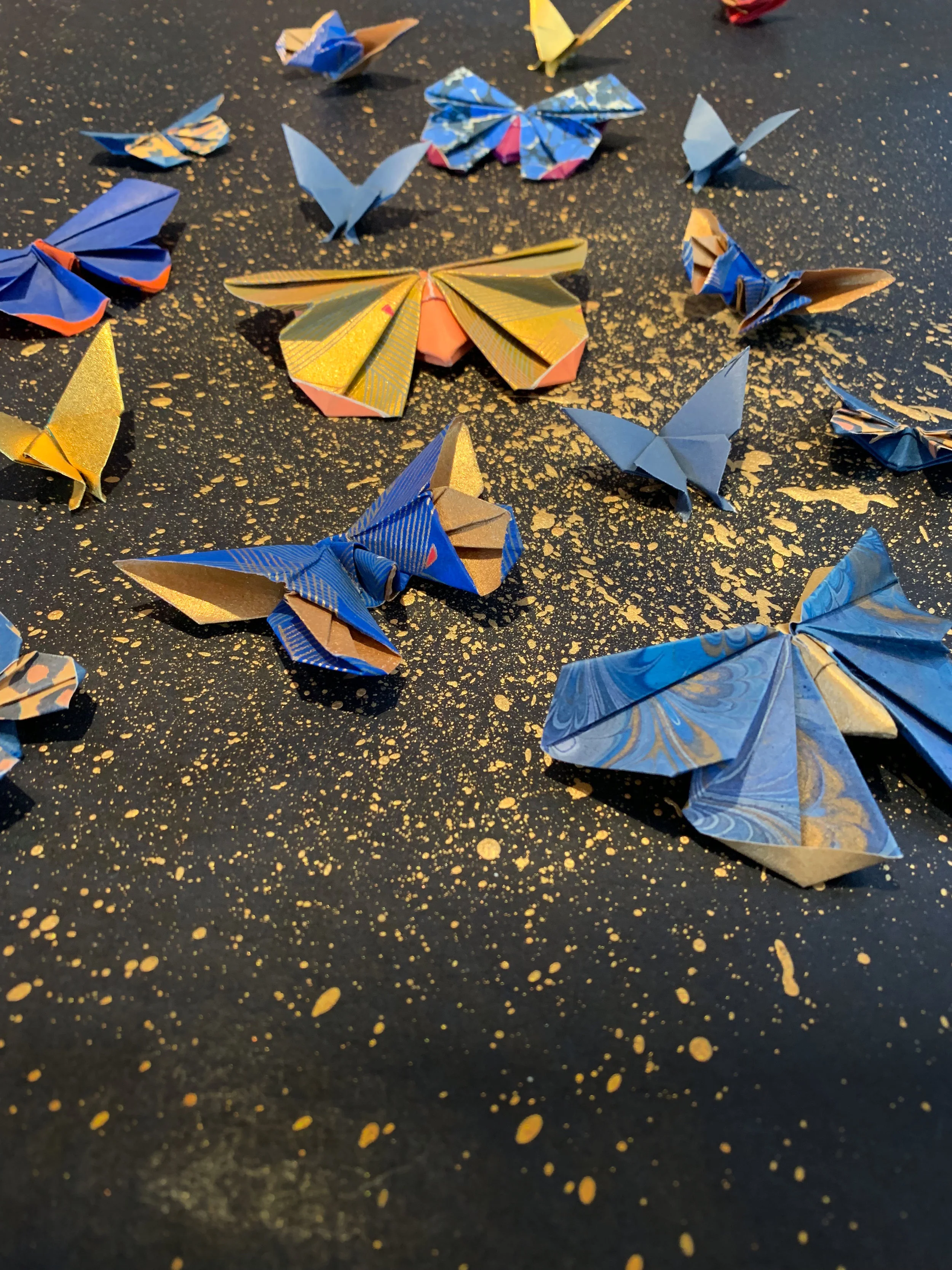 Midnight detail 2019.jpeg