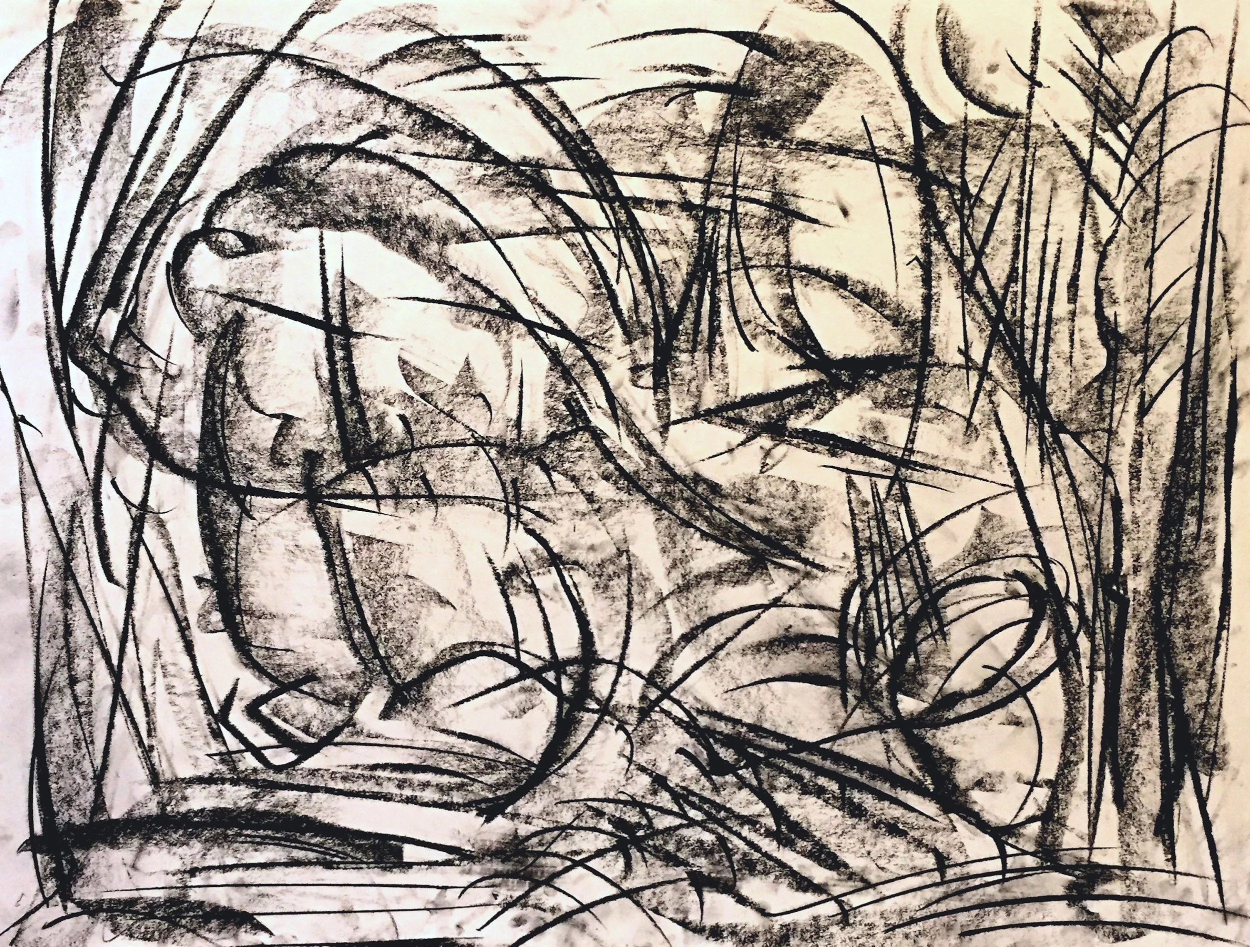 Lost in the Jungle 26 x 32 charcoal on paper (matted + framed)