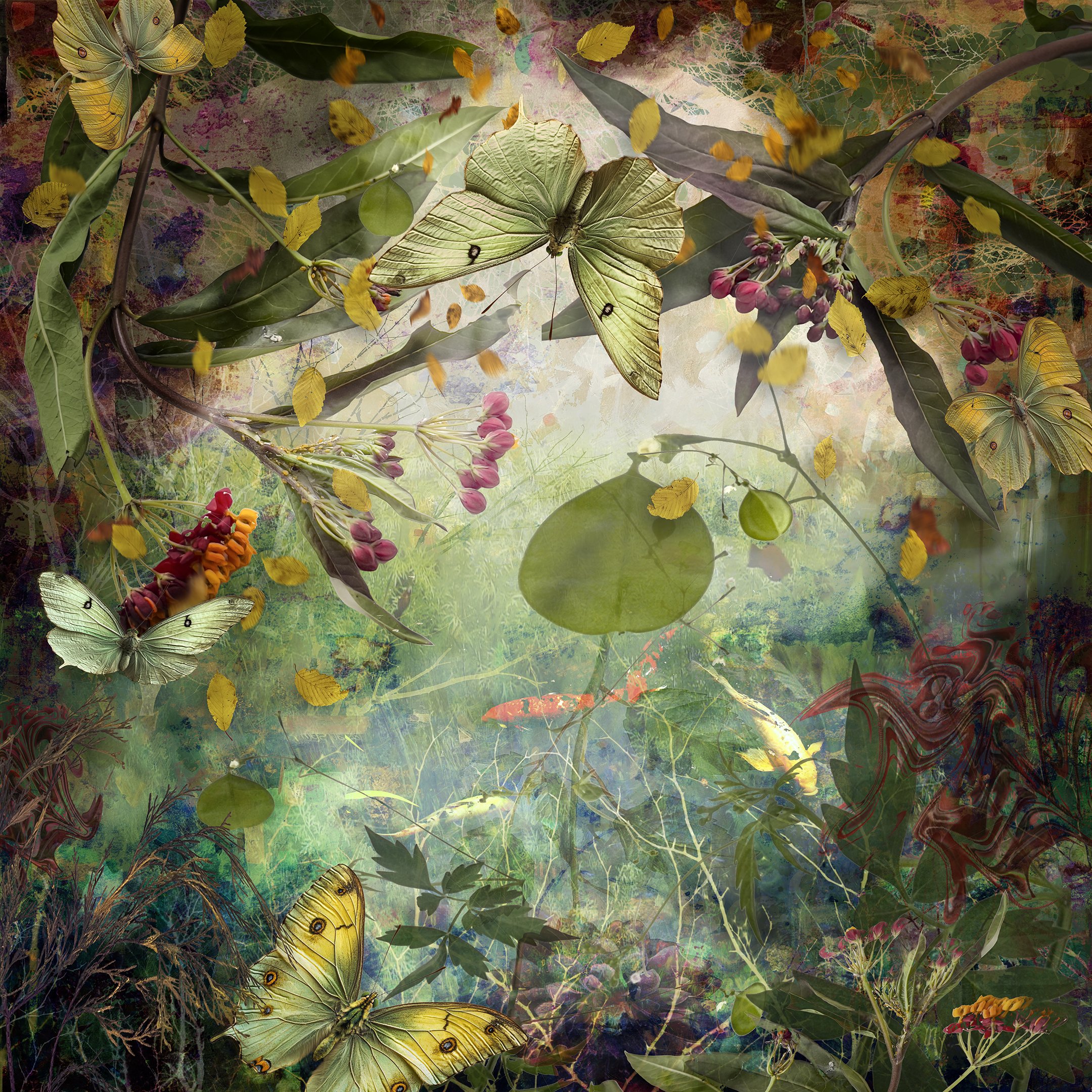 RYN CLARKE - Fall Colors