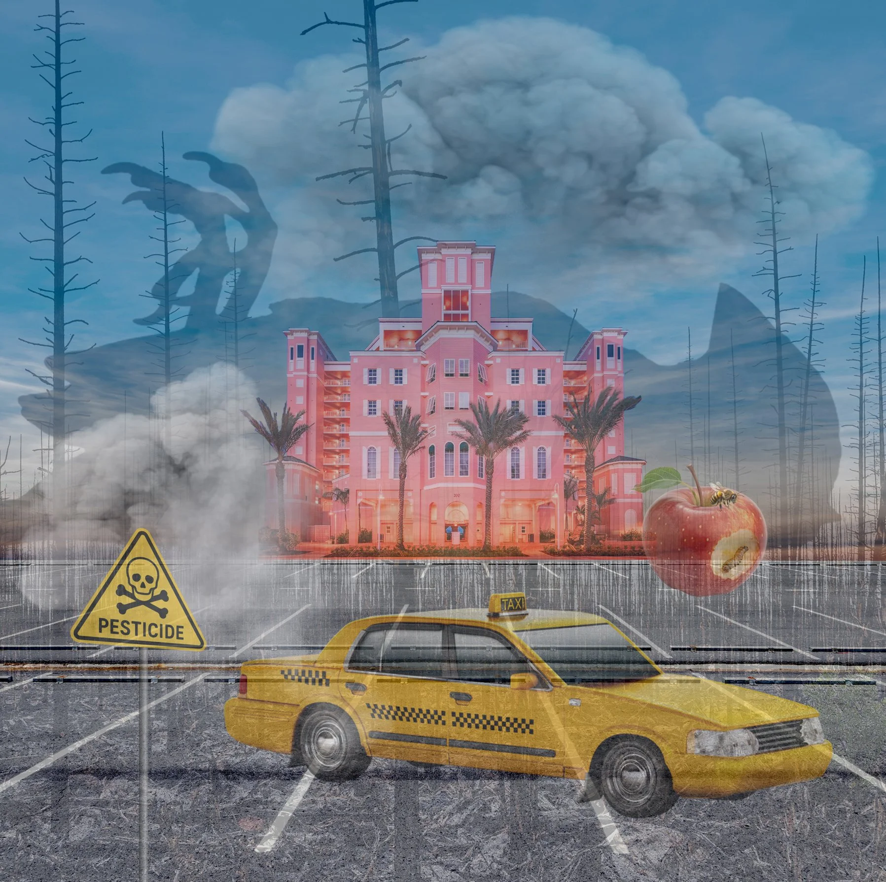 BILL BRIMM  - Big Yellow Taxi