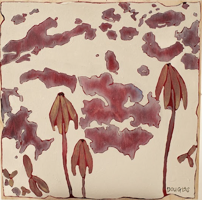 DOUGLAS WILLIAMSON - The Order of Things